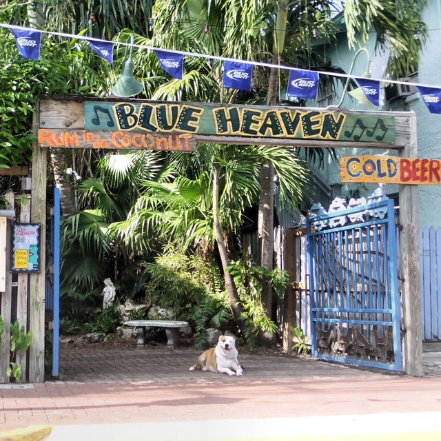 Blue Heaven Key West Photo Gallery